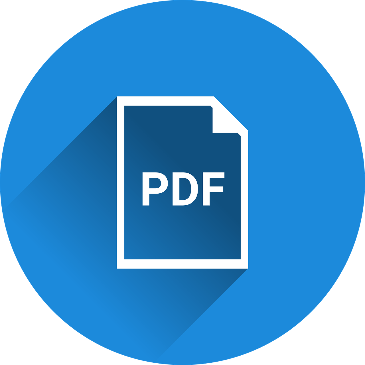 PDF