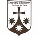 Vie de certains carmes